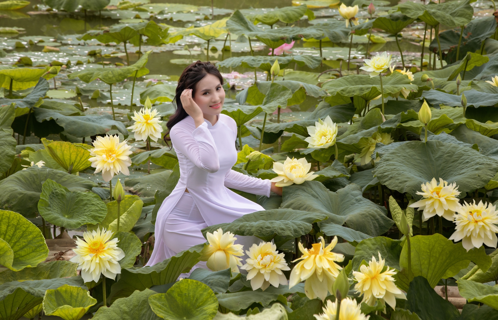 游客在河内市立鸾风馆莲花池拍照。