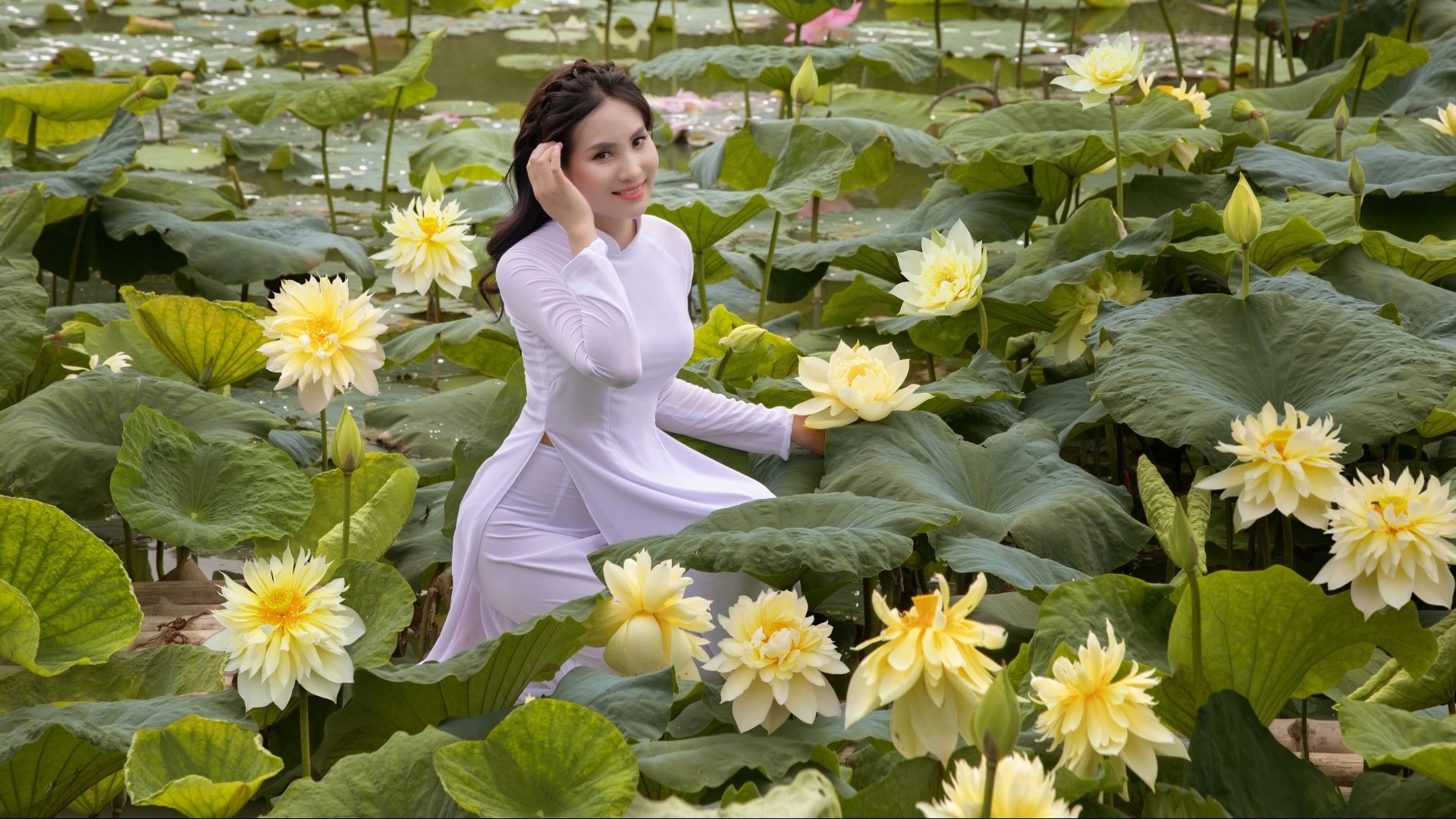 河内市的莲花池颇吸引很多人来拍照