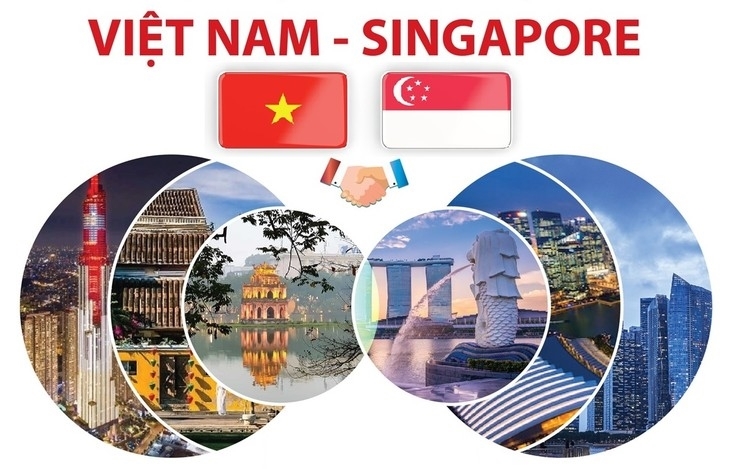 越南-新加坡关系的跨越式发展步伐。
