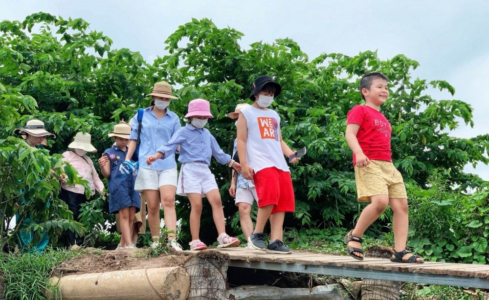 芹苴市农民发展农业旅游和体验旅游。