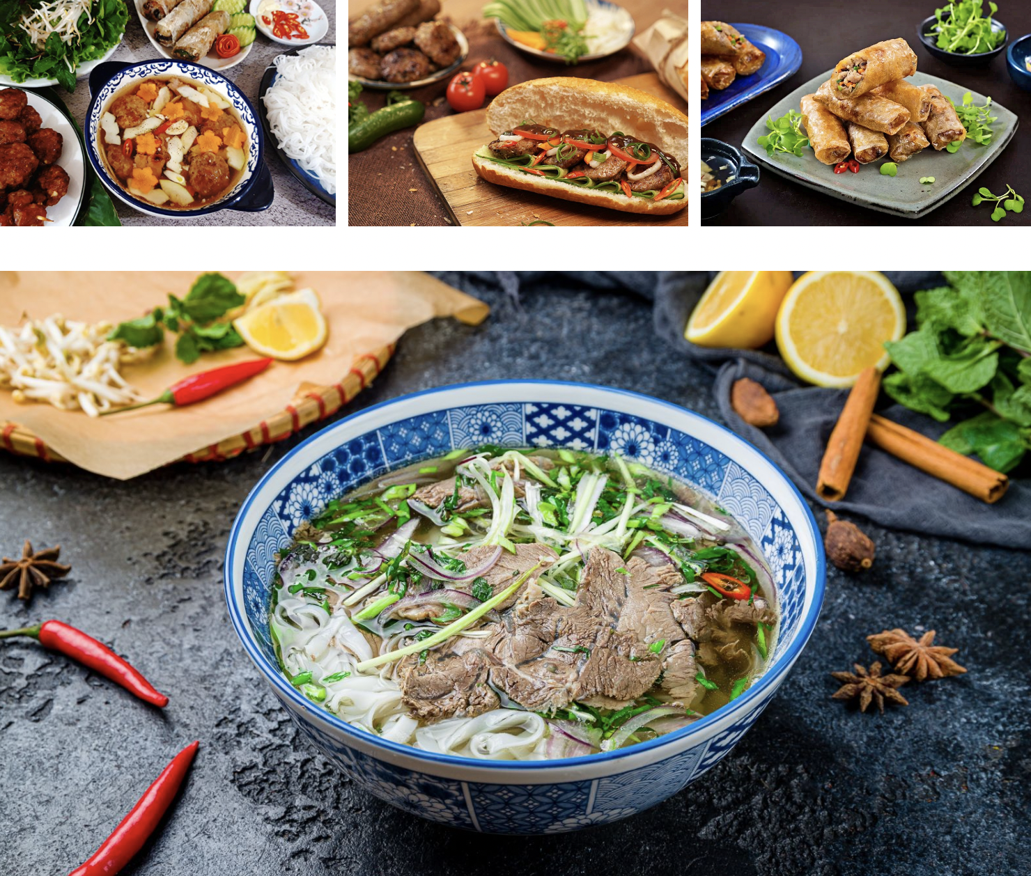 许多质朴、田园诗般的越南菜肴以其诱人的外观和迷人的味道而受到世界的推崇和赞赏。