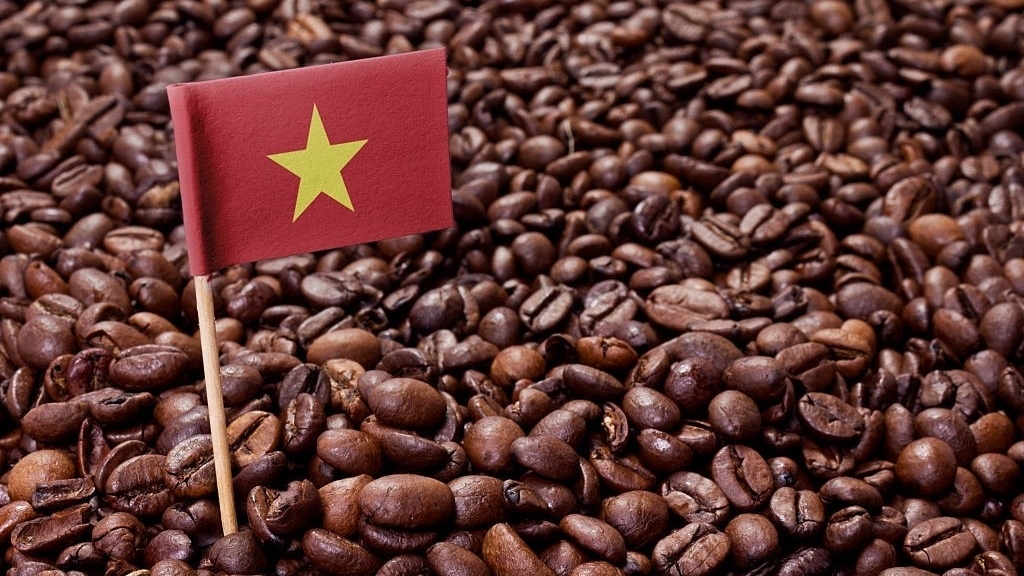 中国增加从越南咖啡进口量
