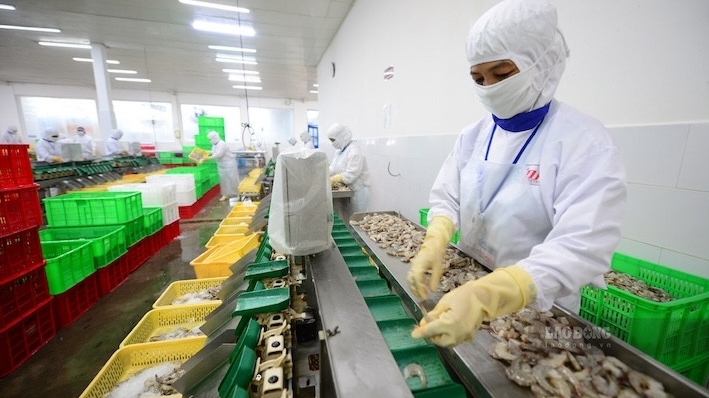 越南对中国的水产出口额超过11亿美元