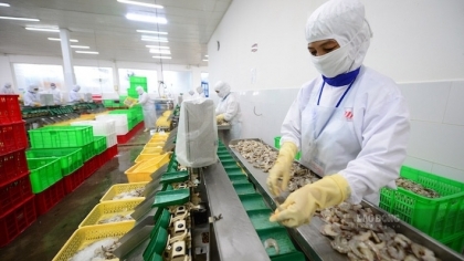 越南对中国的水产出口额超过11亿美元