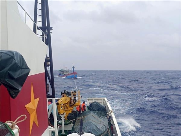 KN 462号船将BĐ-98387-TS号渔船(嘉莱省)及9名渔民拖带回西礁岛避风港。 KN 462号船将BĐ-98387-TS号渔船(嘉莱省)及9名渔民拖带回西礁岛避风港。