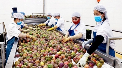 对中国出口新鲜水果，加强冷链食品进口管理