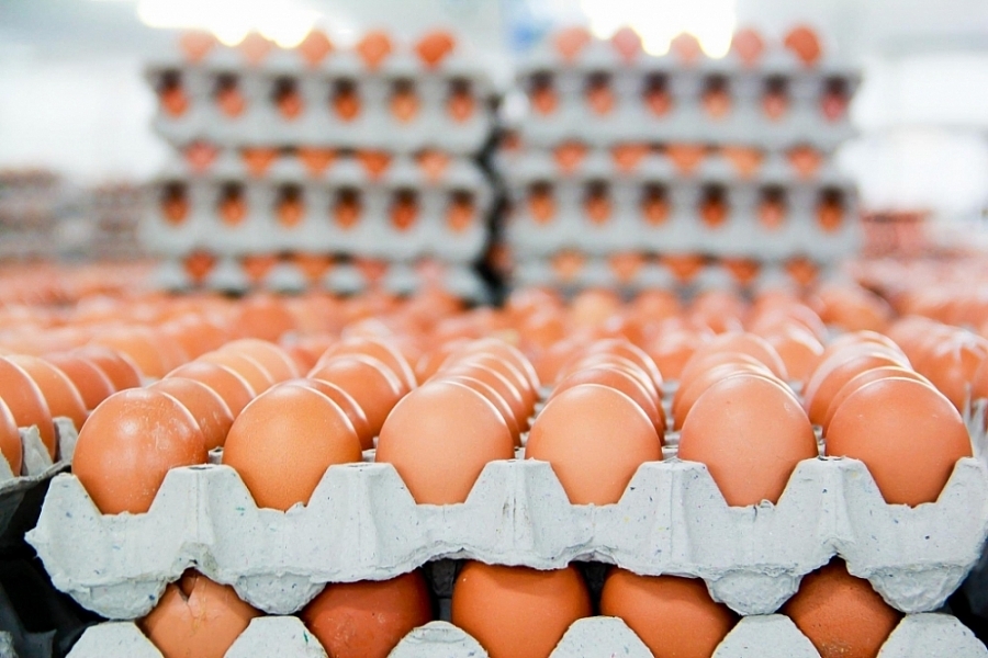 中国香港解除从越南进口禽蛋和禽蛋类制品禁令。