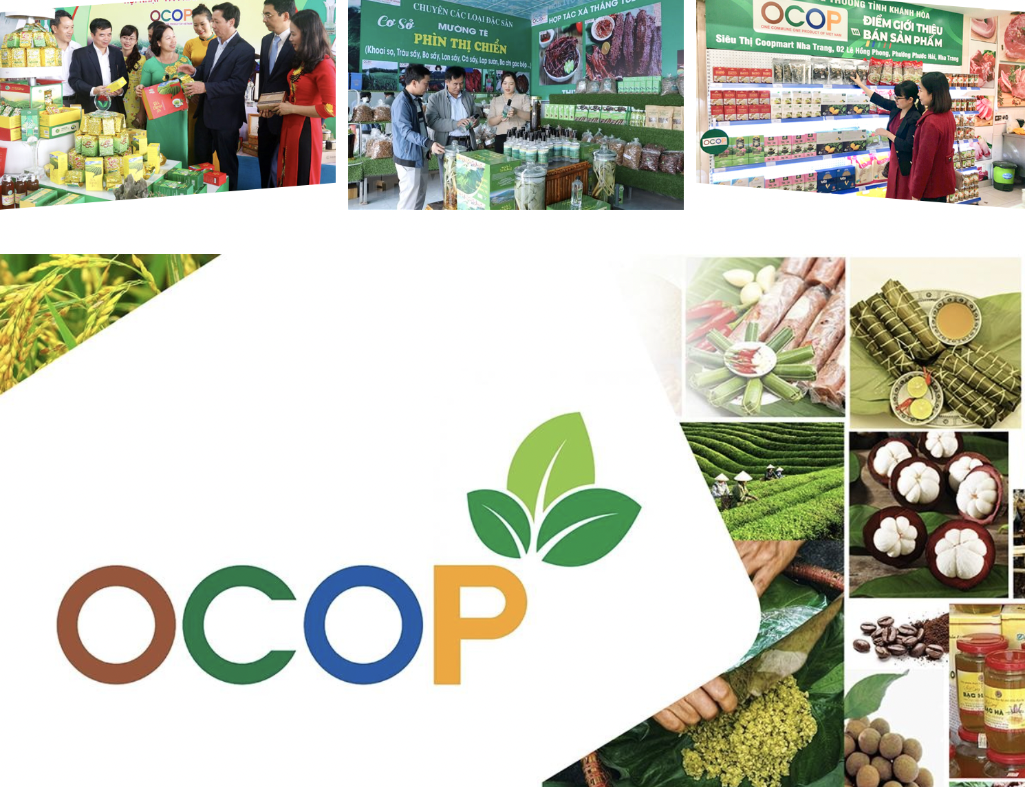 大力推动OCOP产品开发与贸易促进。