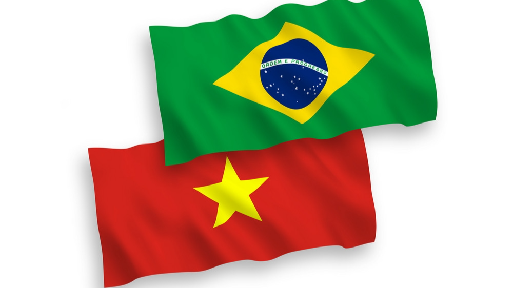 越南与巴西全面伙伴关系继续积极发展。