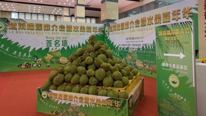 2023年中国—东盟博览会上的越南优秀产品品牌