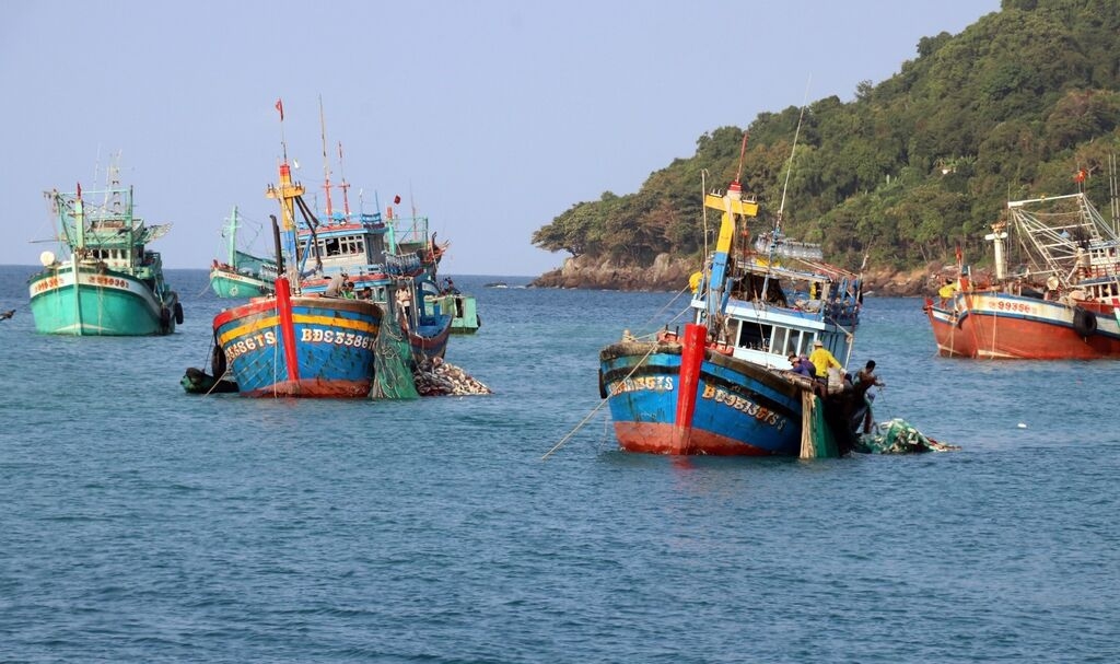 截至2023年8月，茶荣省需要安装渔船船舶监测系统的全部247艘渔船都安装了该系统。