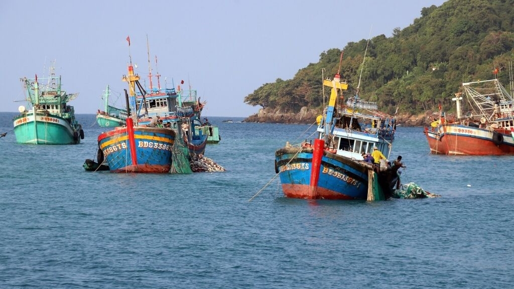 越南茶荣省多措并举严厉打击非法捕捞行为