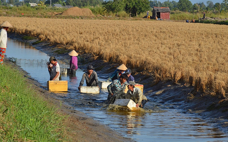 湄公河三角洲适应气候变化和克服咸水入侵的办法之一是考虑生计多样性。对于生计依赖这里自然资源的农民和社区来说， 实现生计多样化以适应气候变化是生存的关键。 2016年至2022年，世界银行通过湄公河三角洲气候复原力和可持续生计综合项目支持越南政府同时做出许多重要的宏观经济决策，帮助100 多万当地农民转向气候适应型和资源节约型的生产方式。此外，该项目还帮助农民在汛期改种其他作物或牲畜品种，其既减少了对水稻种植的依赖，又增加了收入。为了使项目结束后，农民也能保持这些良好做法，世界银行还投资建设基础设施，为可持续的复制过程奠定基础；同时，加强区域水土资源管理合作与协调。