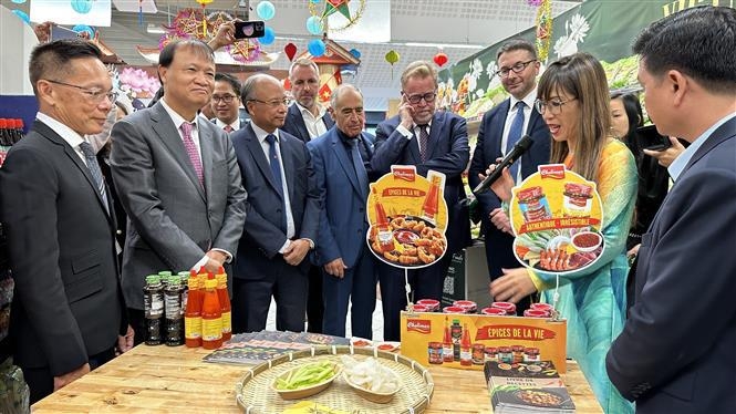 越南工贸部副部长杜胜海参观越南展位。