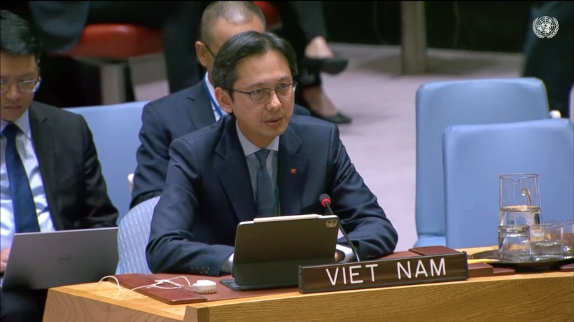 越南常驻联合国代表团团长杜雄越大使。