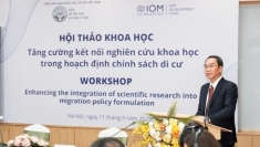 发挥国家发展的战略资源的海外越南人社群的作用