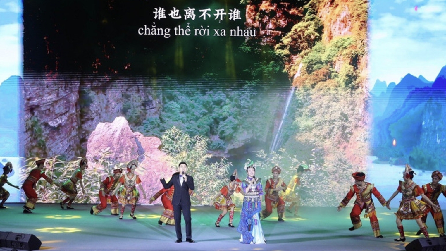 紧密越中情谊——岘港市举行文艺晚会
