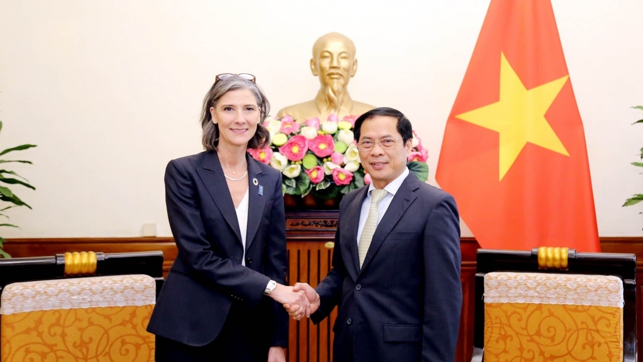 越南外交部长会见联合国开发计划署驻越南首席代表