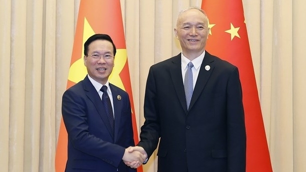 武文赏主席建议越中双方扩大文化合作和民间交流