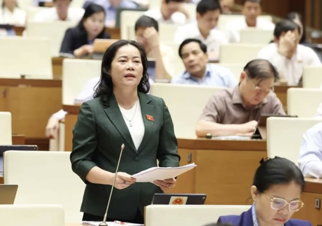 越南国会代表听取报告并对《预防和打击人口贩卖法草案（修订案）》提出意见。