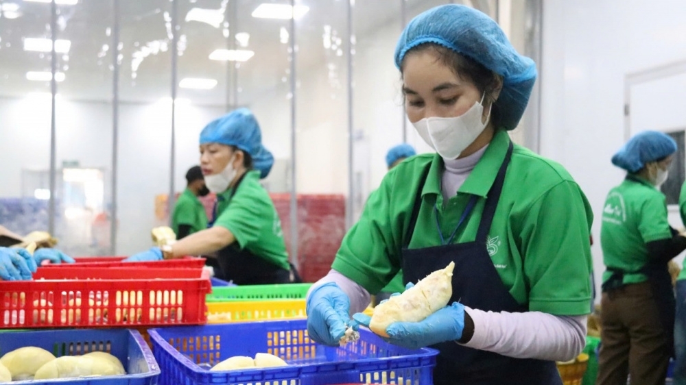 越南是广东省在东盟地区最大的贸易伙伴