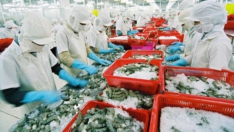 中国台湾水产品市场及越南出口的广阔机遇