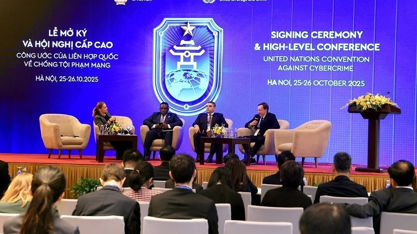 《河内公约》:建立国际标准与网络犯罪调查合作网络