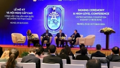 《河内公约》:建立国际标准与网络犯罪调查合作网络