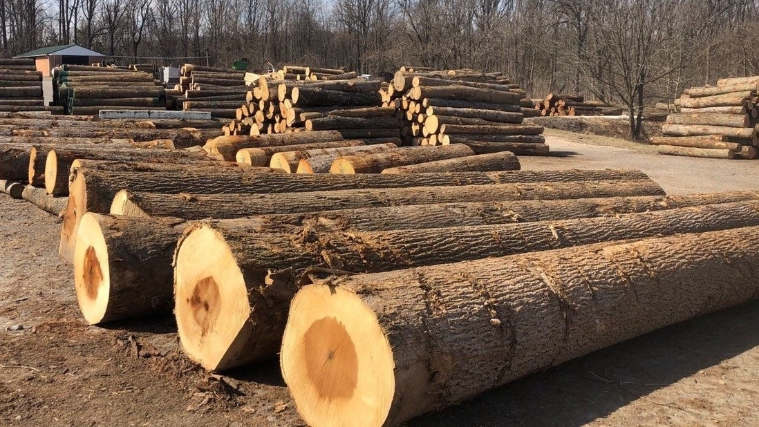 实施木材行业分类系统极为重要