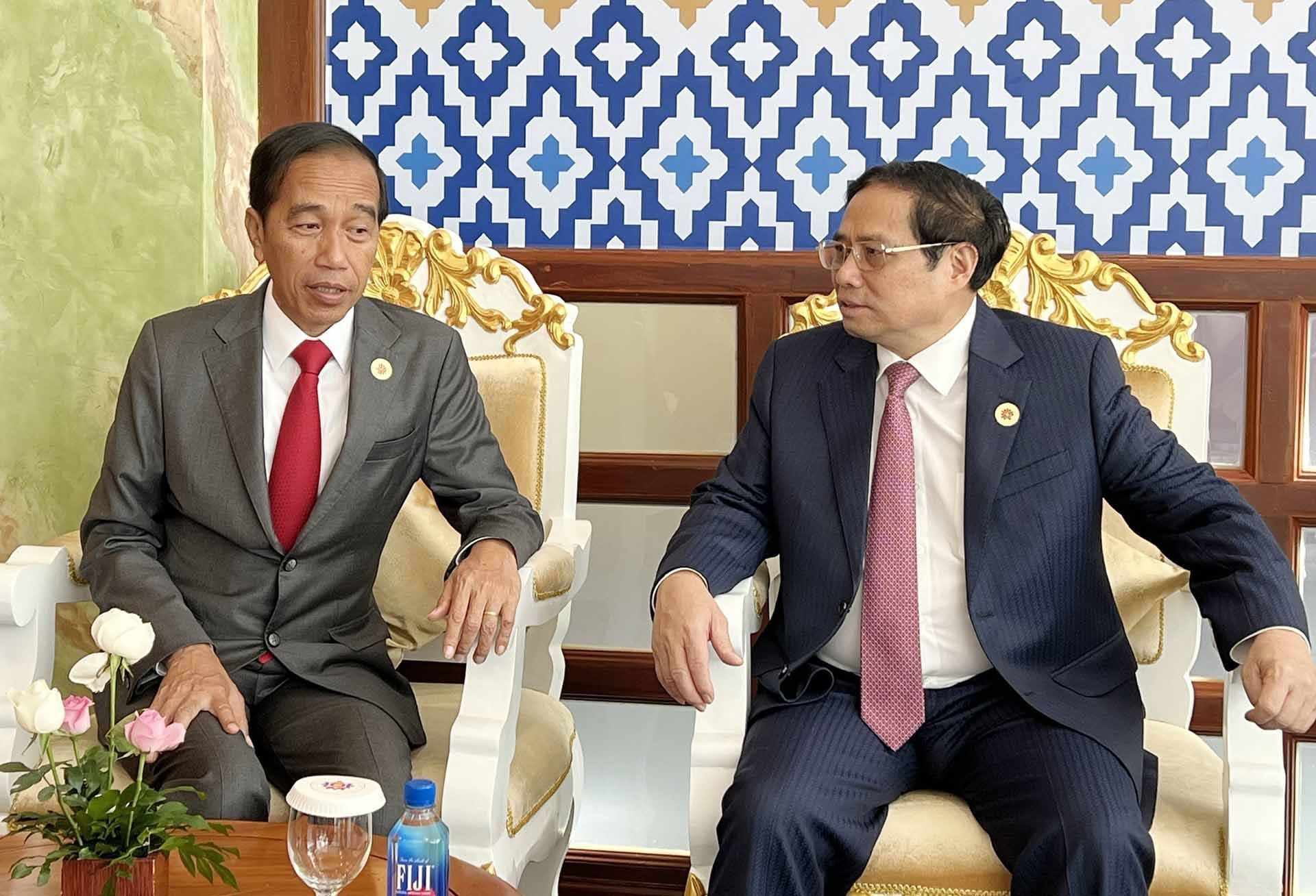 加强越南与印度尼西亚的友谊