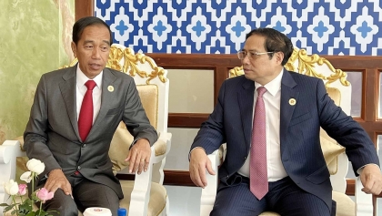 政府总理范明政会见印尼总统佐科·维多多
