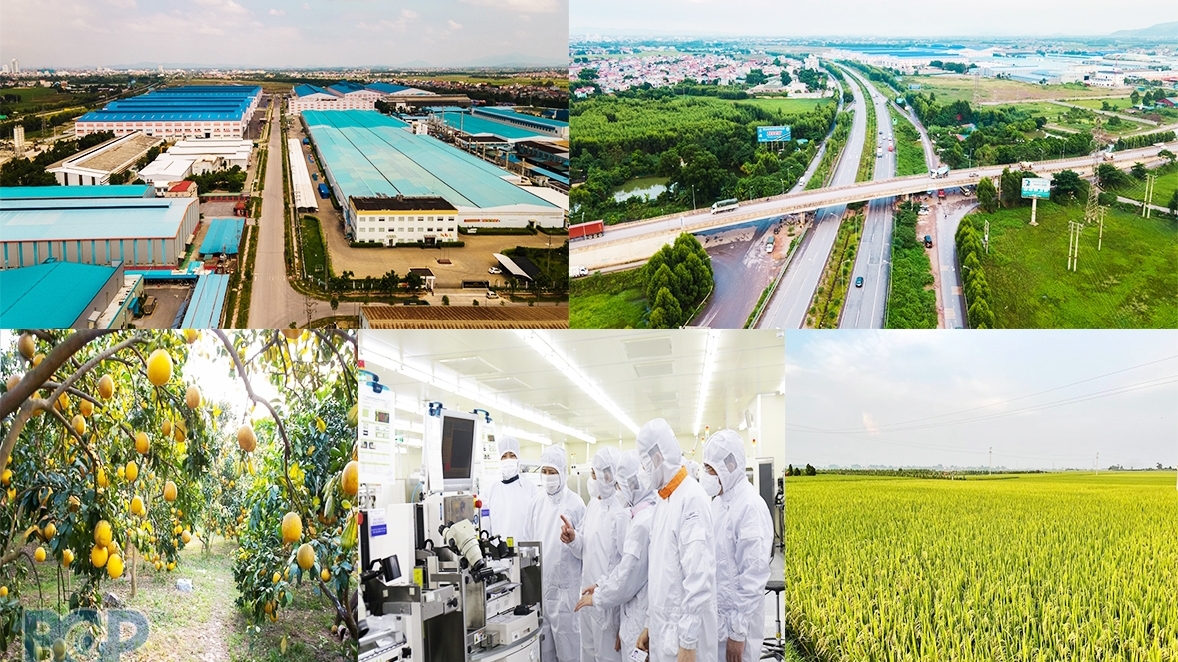 北江省调动各种资源 加大对当地农业基础设施的投资力度