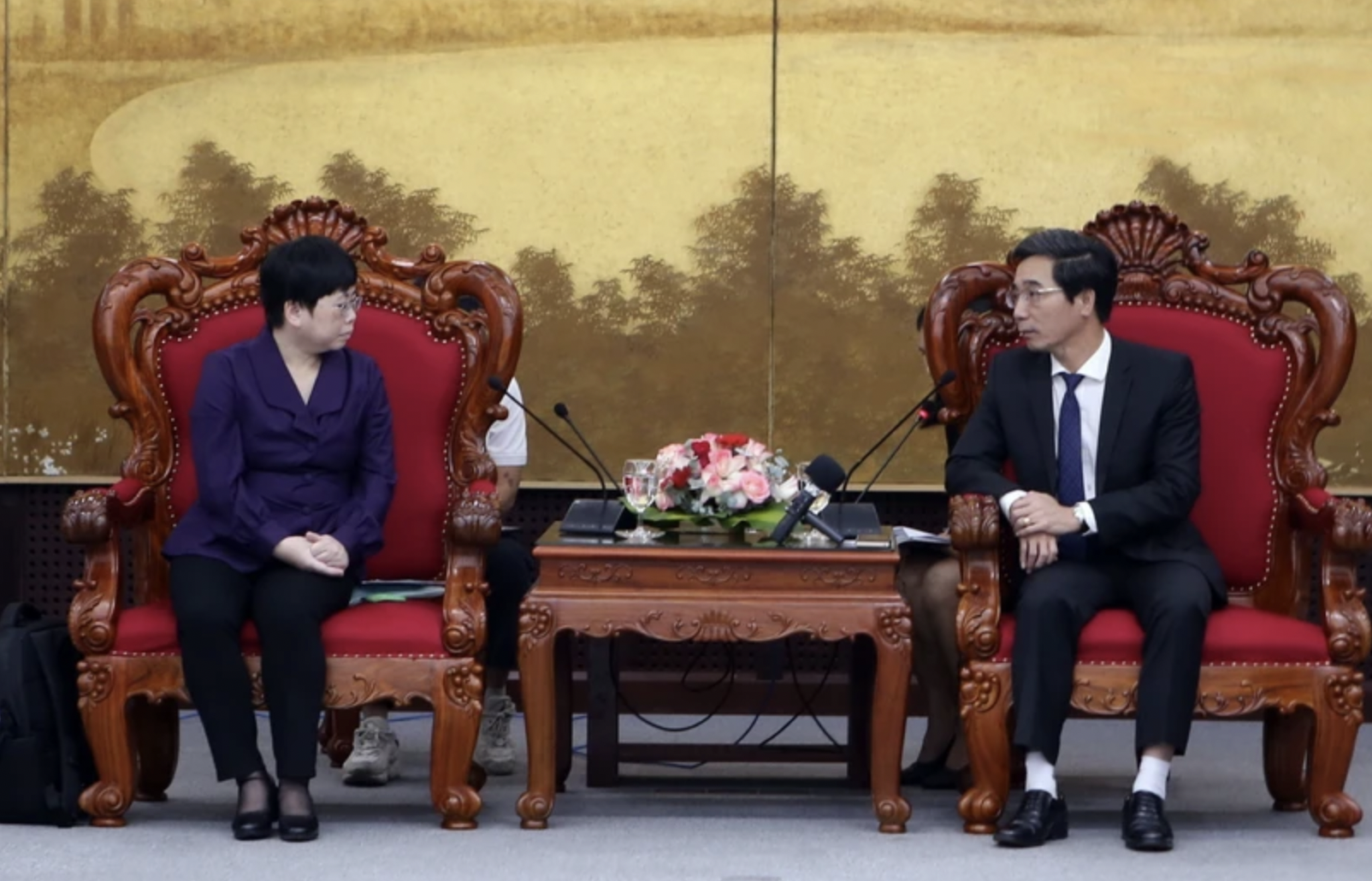 岘港市人民委员会副主席陈志强会见中国广东省湛江市政府副市长何嘉旻。