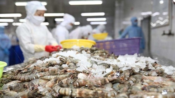 中国改变对进口海鲜的依赖是越南的机遇