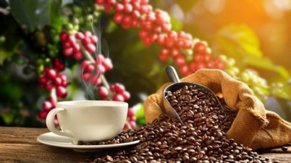 阿尔及利亚市场——越南咖啡的潜在市场