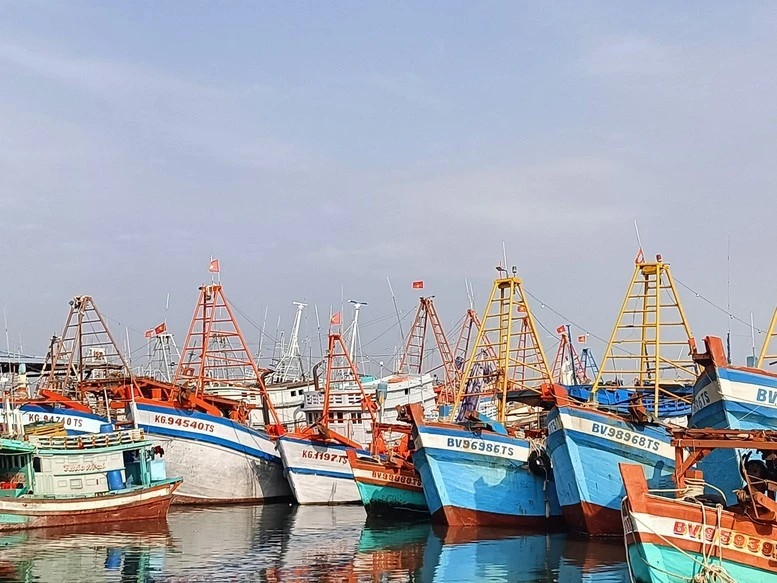 胡志明市不再有IUU违规渔船。 胡志明市不再有IUU违规渔船。