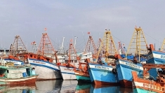 胡志明市不再有IUU违规渔船