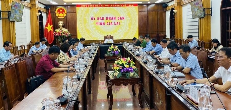 嘉莱省:坚决行动,方式得当,务求实效 嘉莱省:坚决行动,方式得当,务求实效