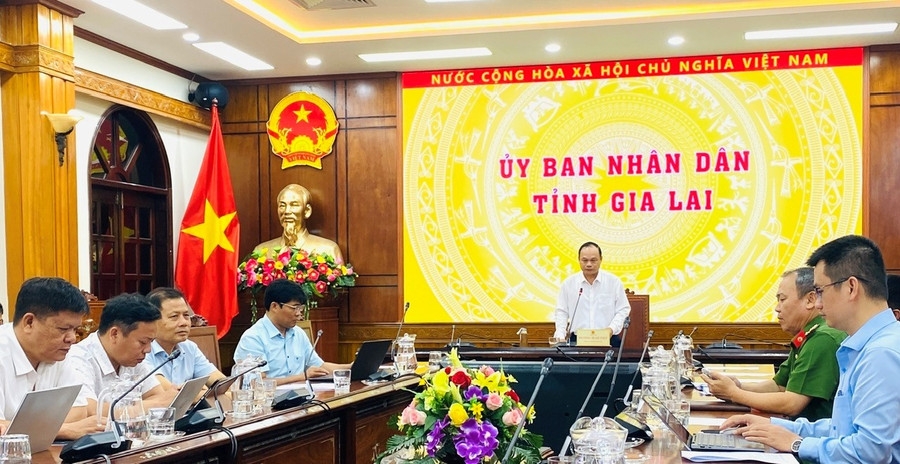 嘉莱省:坚决行动,方式得当,务求实效 嘉莱省:坚决行动,方式得当,务求实效