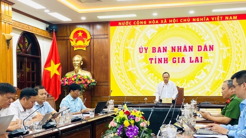 嘉莱省：坚决行动，方式得当，务求实效