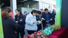 推动越南农产品在华市场推广和贸易促进方式多样化