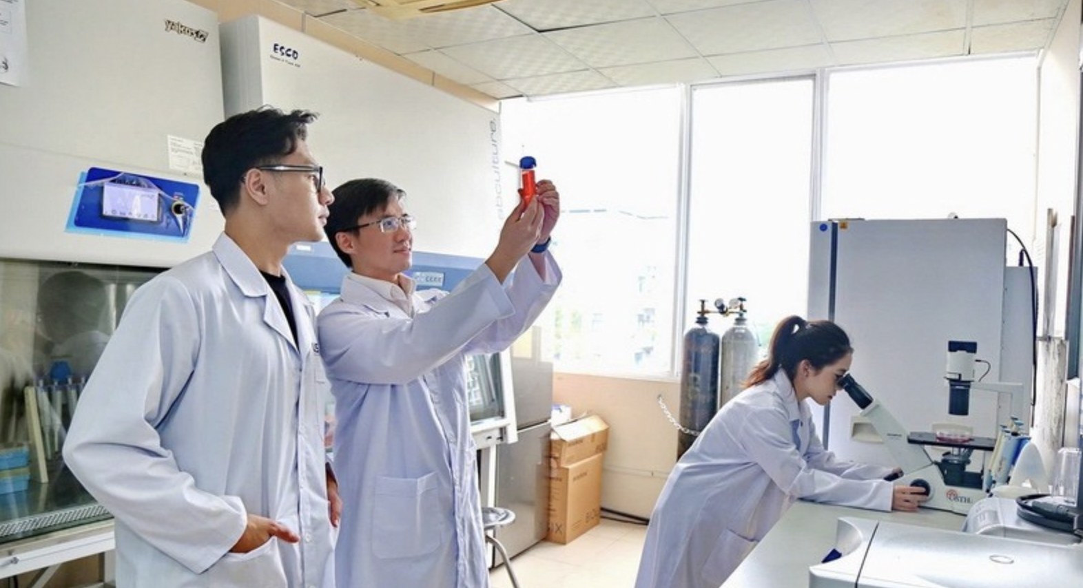 大会文件特别强调了教育培训、科学技术、创新创意和人文建设作为提升竞争力且推动可持续发展的核心动力作用。