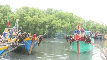 同塔省打击IUU捕捞，助力越南摘“黄牌”