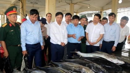 德乐省坚决部署各项紧急任务，打击非法、不报告和不受管制捕捞（IUU）