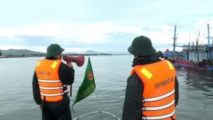 广治省严格管理渔船，坚决打击IUU捕捞