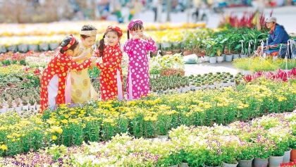 春节花市满足2023年癸卯春节首都市民的需求