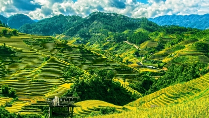 越南西北地区的梯田——上天的指纹
