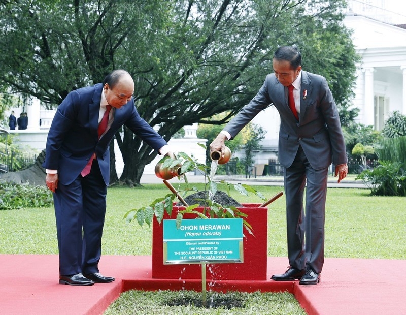 佐科·维多多总统和国家主席阮春福在总统府栽种香坡垒树。图自越通社