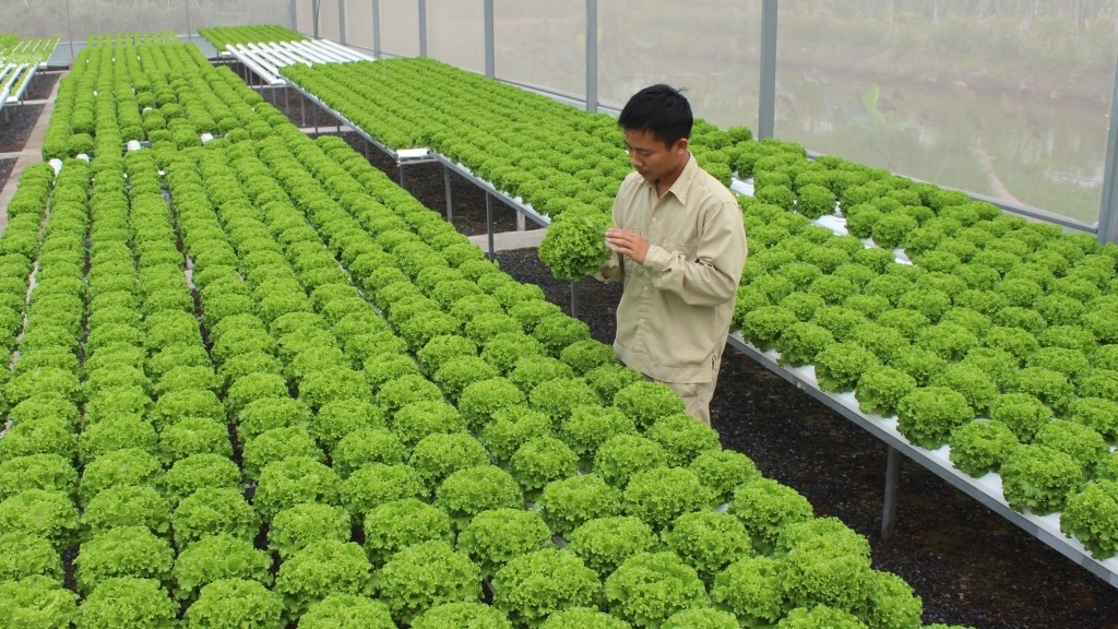 通过绿色生产提升农产品出口价值