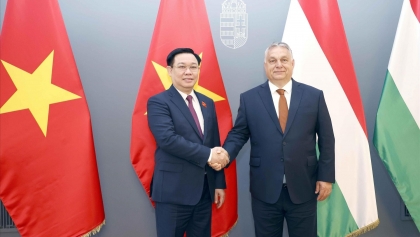 进一步推动越南与匈牙利的经贸合作关系